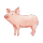 Animal Porco