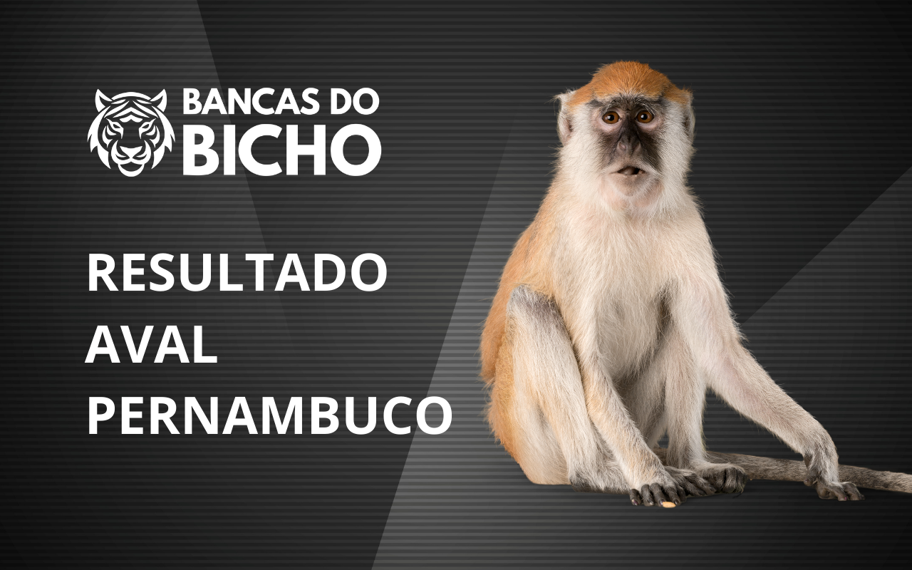 Resultado Jogo do Bicho da AVAL Pernambuco 17h hoje, 04/11/2025