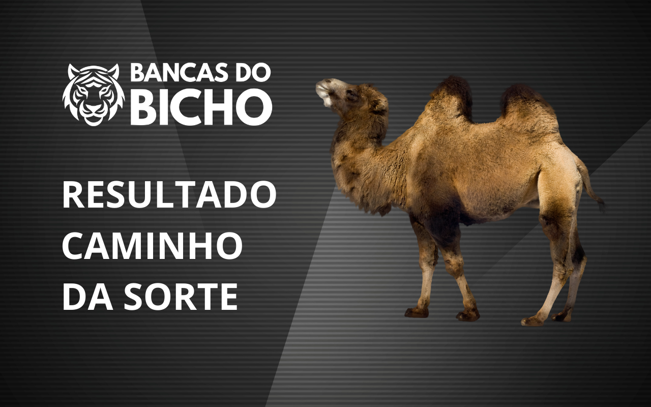 Resultado Jogo do Bicho da Caminho da Sorte 14h hoje, 12/10/2025