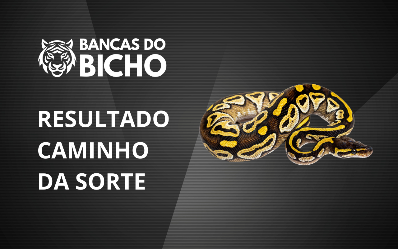 Resultado Jogo do Bicho da Caminho da Sorte 21h hoje, 04/11/2025