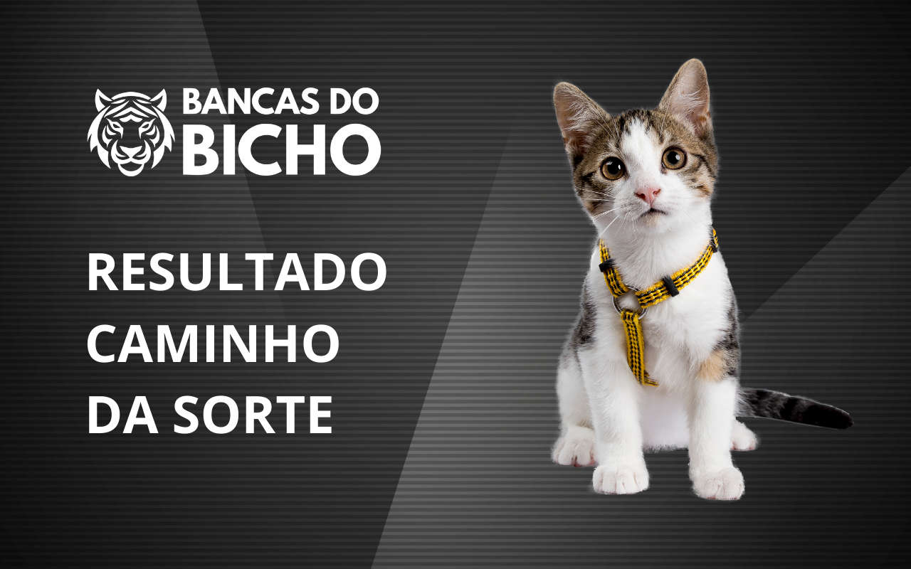 Resultado Jogo do Bicho da Caminho da Sorte 12h hoje, 01/11/2025