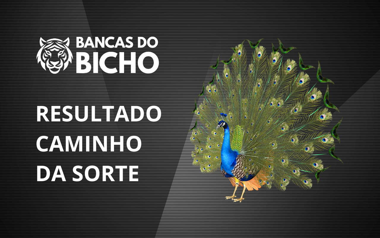 Resultado Jogo do Bicho da Caminho da Sorte 11h hoje, 04/11/2025