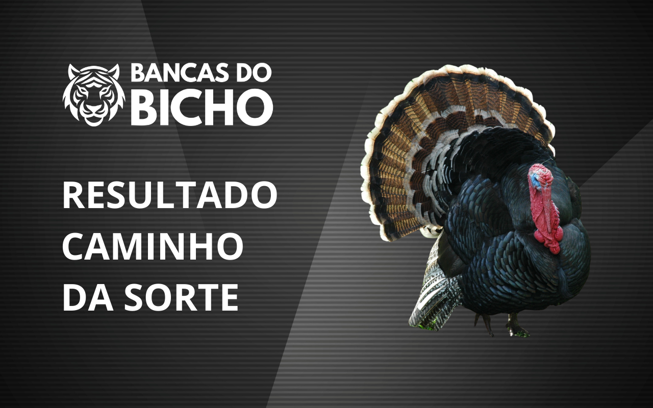 Resultado Jogo do Bicho da Caminho da Sorte 20h hoje, 03/11/2025