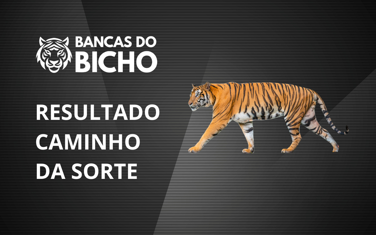 Resultado Jogo do Bicho da Caminho da Sorte 09h hoje, 29/10/2025