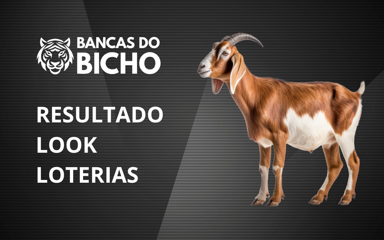 Resultado Jogo do Bicho da Look Loterias 11h hoje, 04/11/2025