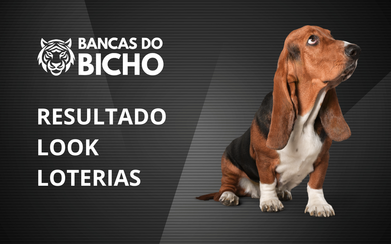 Resultado Jogo do Bicho da Look Loterias 21h hoje, 31/10/2025