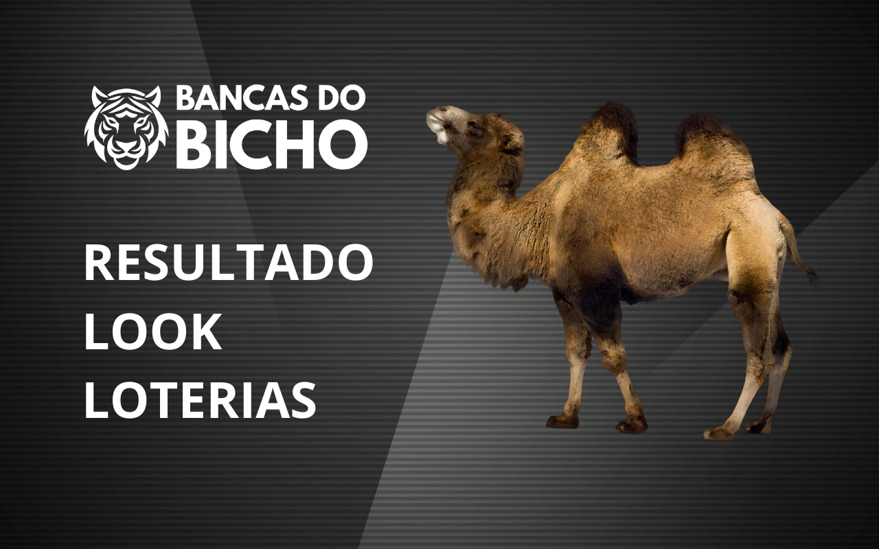 Resultado Jogo do Bicho da Look Loterias 21h hoje, 28/10/2025