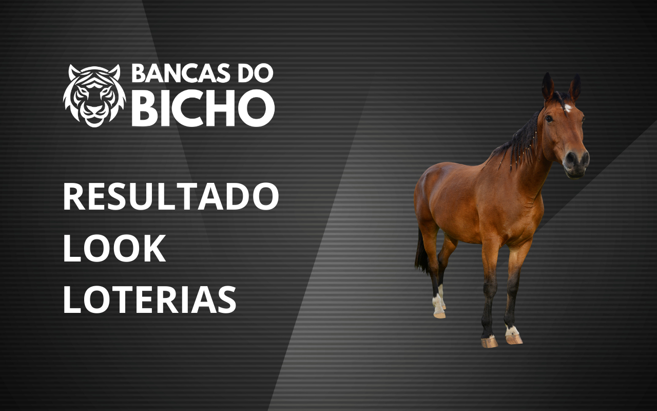 Resultado Jogo do Bicho da Look Loterias 07h hoje, 04/11/2025