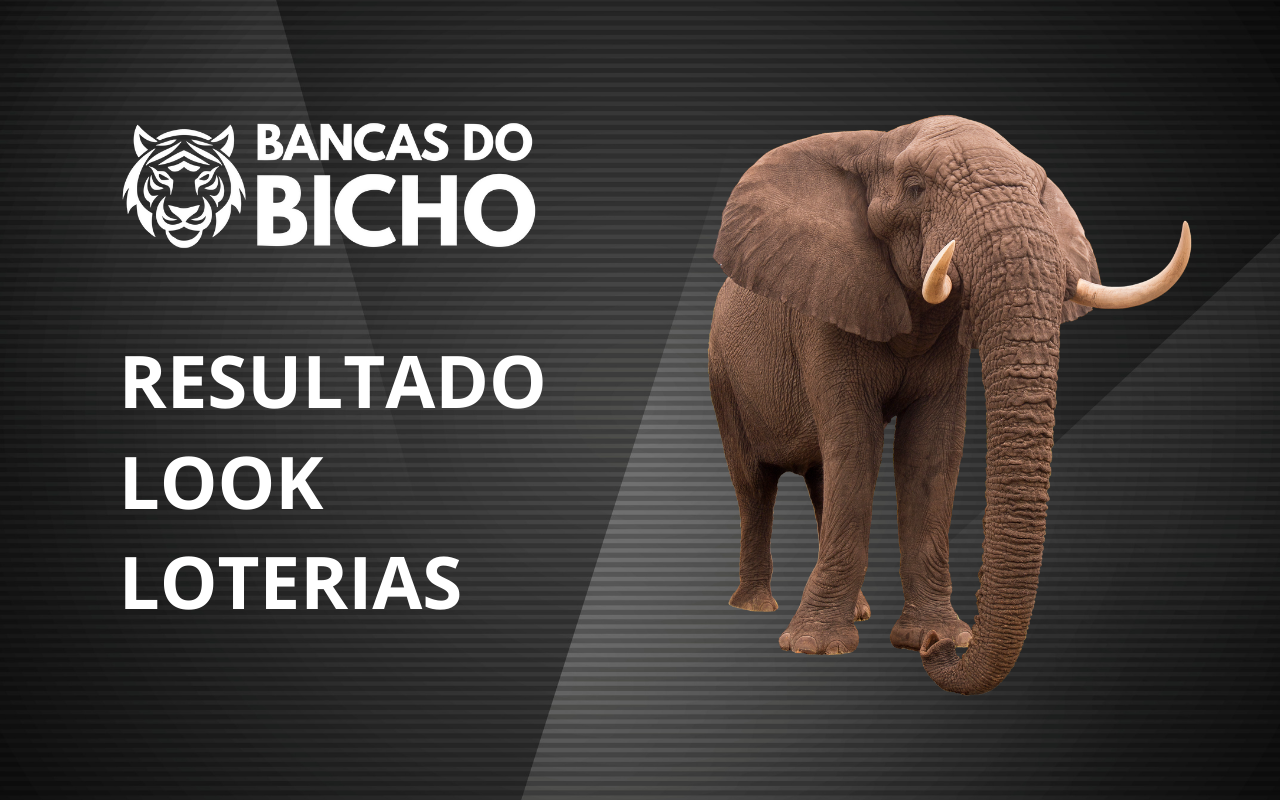 Resultado Jogo do Bicho da Look Loterias 11h hoje, 29/10/2025