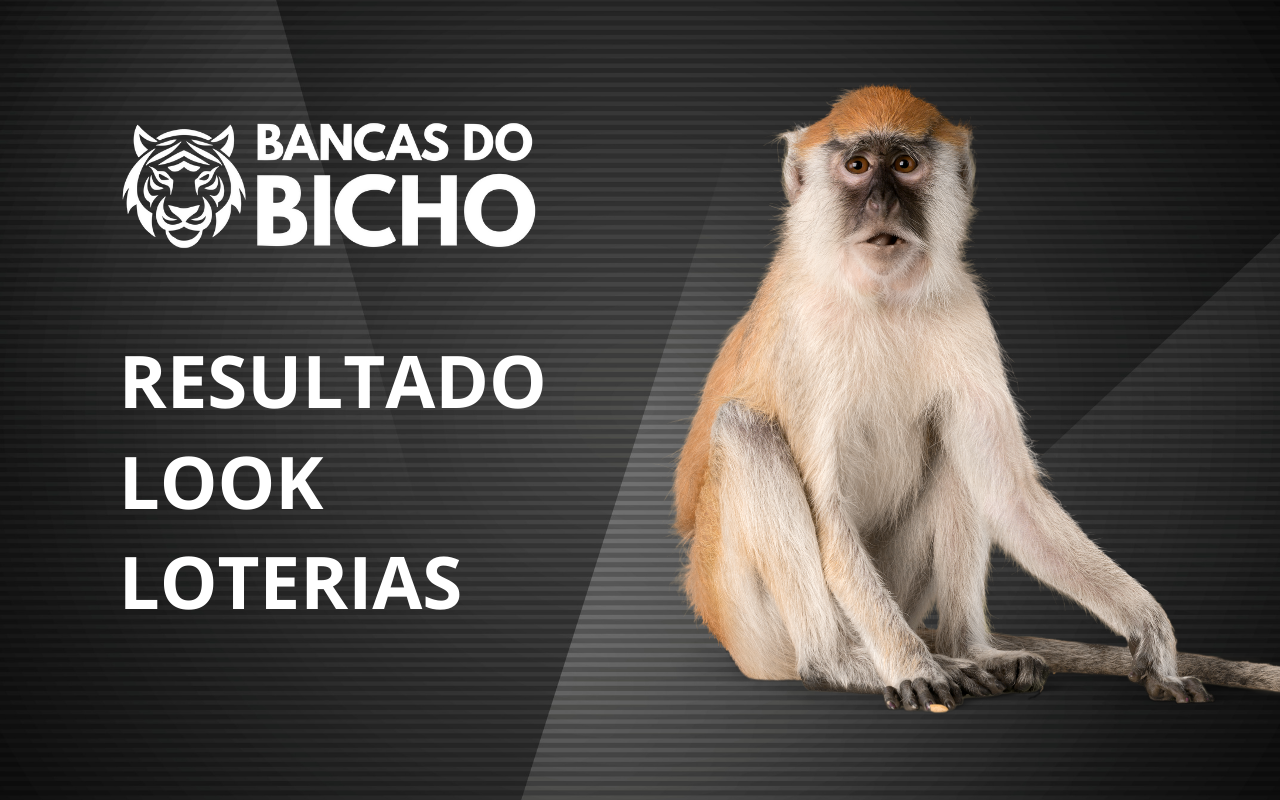 Resultado Jogo do Bicho da Look Loterias 14h hoje, 04/11/2025