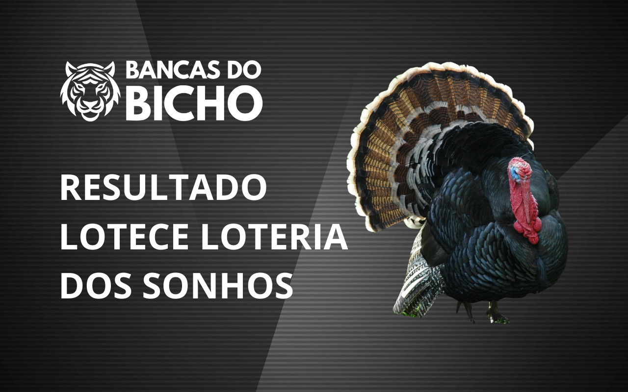 Resultado Jogo do Bicho da Lotece Loteria dos Sonhos 19h hoje, 04/11/2025