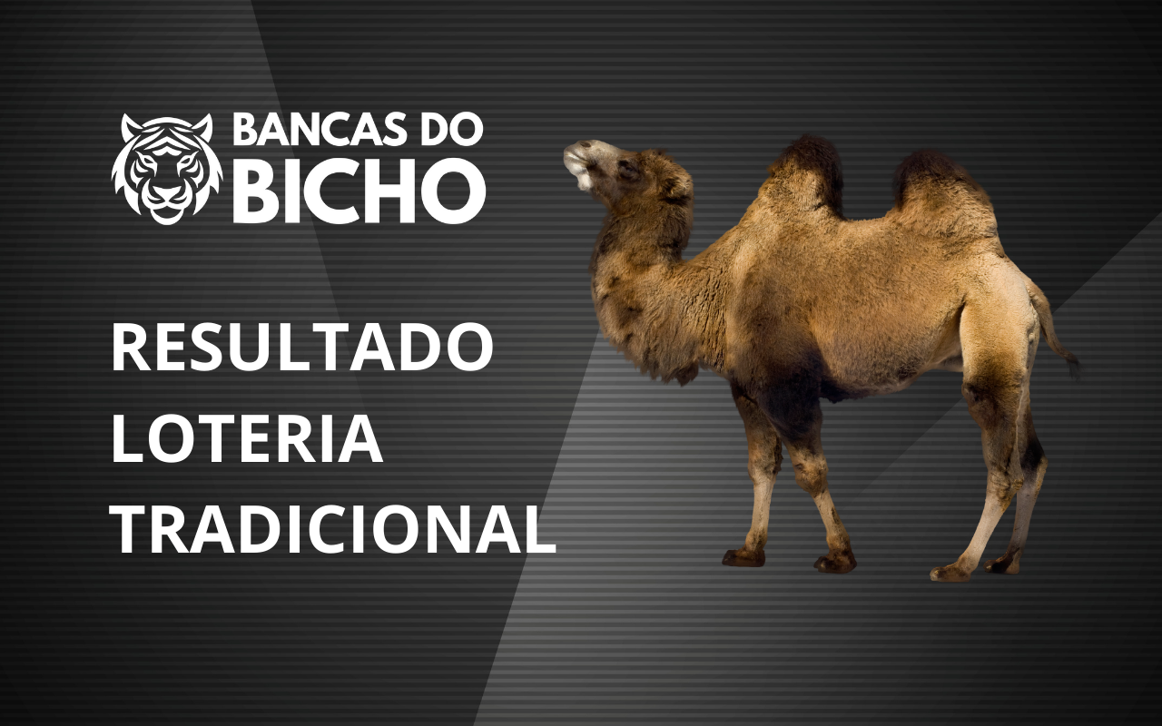 Resultado Jogo do Bicho da Loteria Tradicional 22h hoje, 03/11/2025