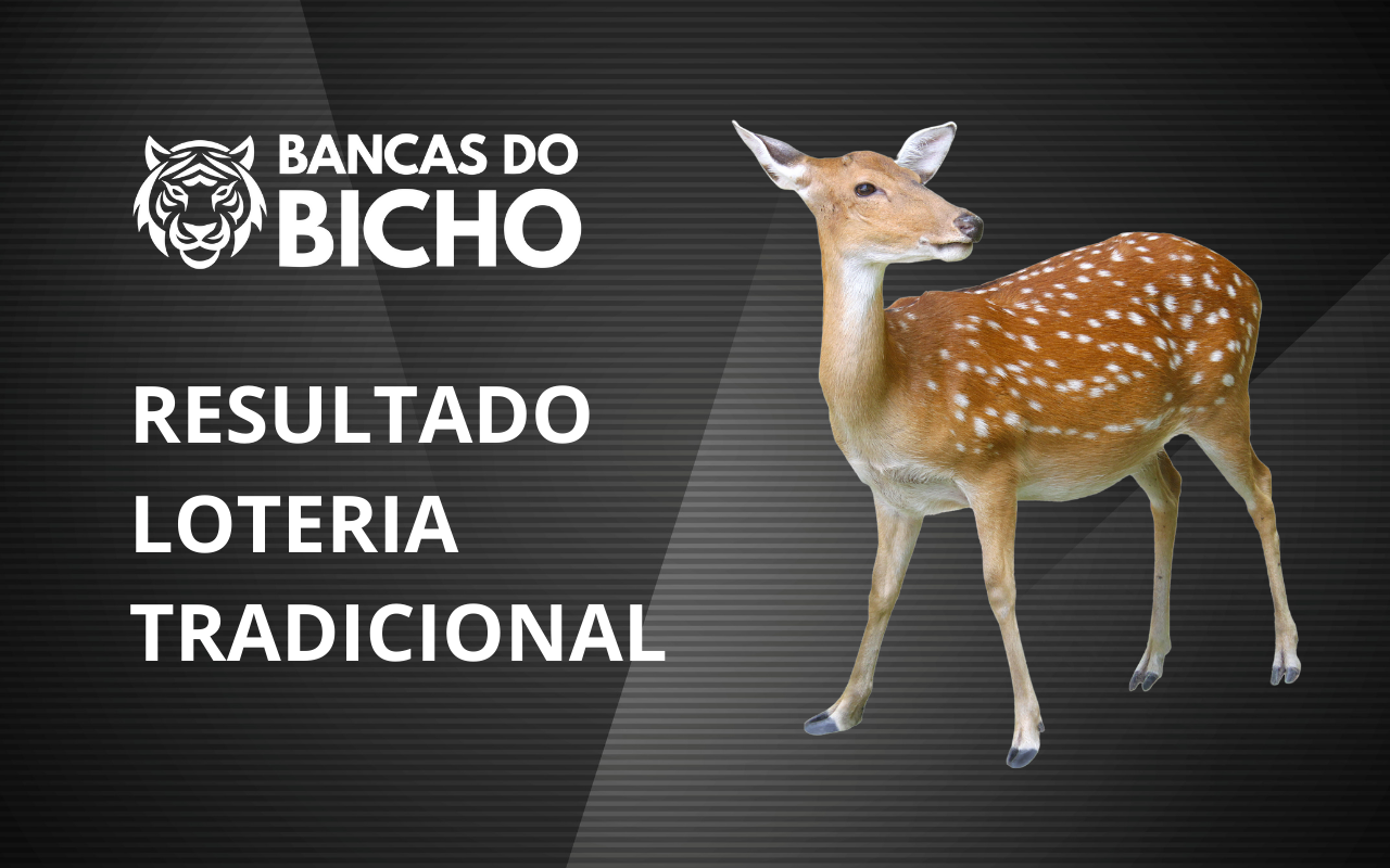 Resultado Jogo do Bicho da Loteria Tradicional 19h hoje, 04/11/2025