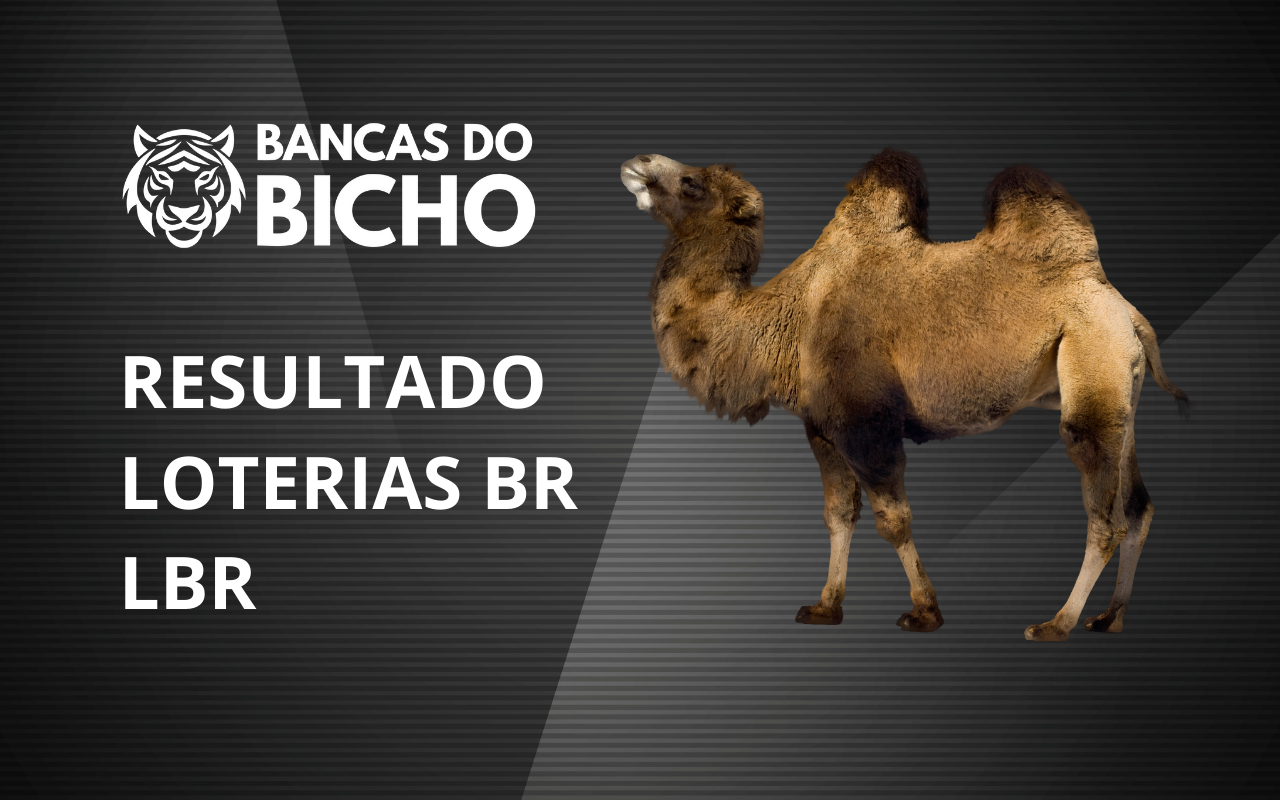 Resultado Jogo do Bicho da Loterias BR LBR 22h hoje, 03/11/2025