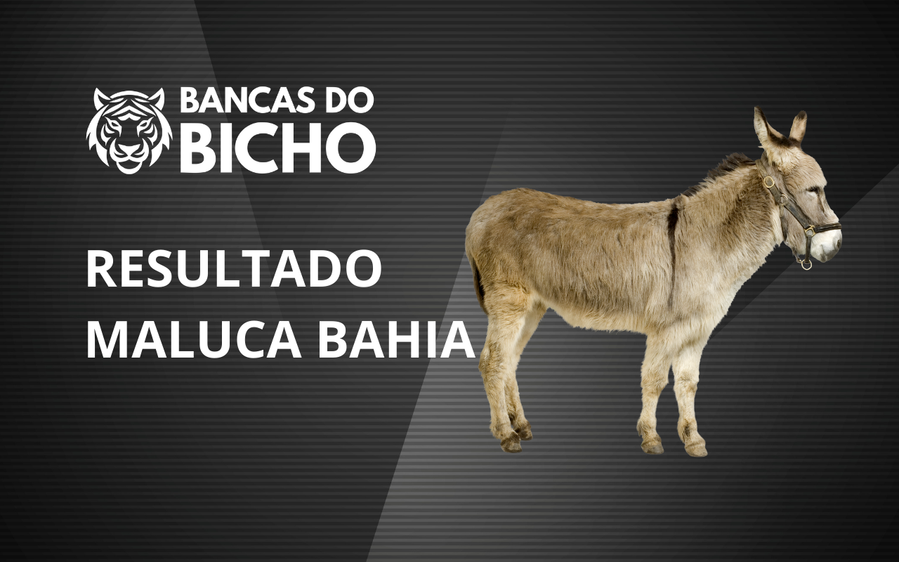 Resultado Jogo do Bicho da Maluca Bahia 19h hoje, 03/11/2025
