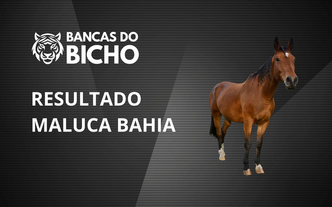 Resultado Jogo do Bicho da Maluca Bahia 12h hoje, 04/11/2025