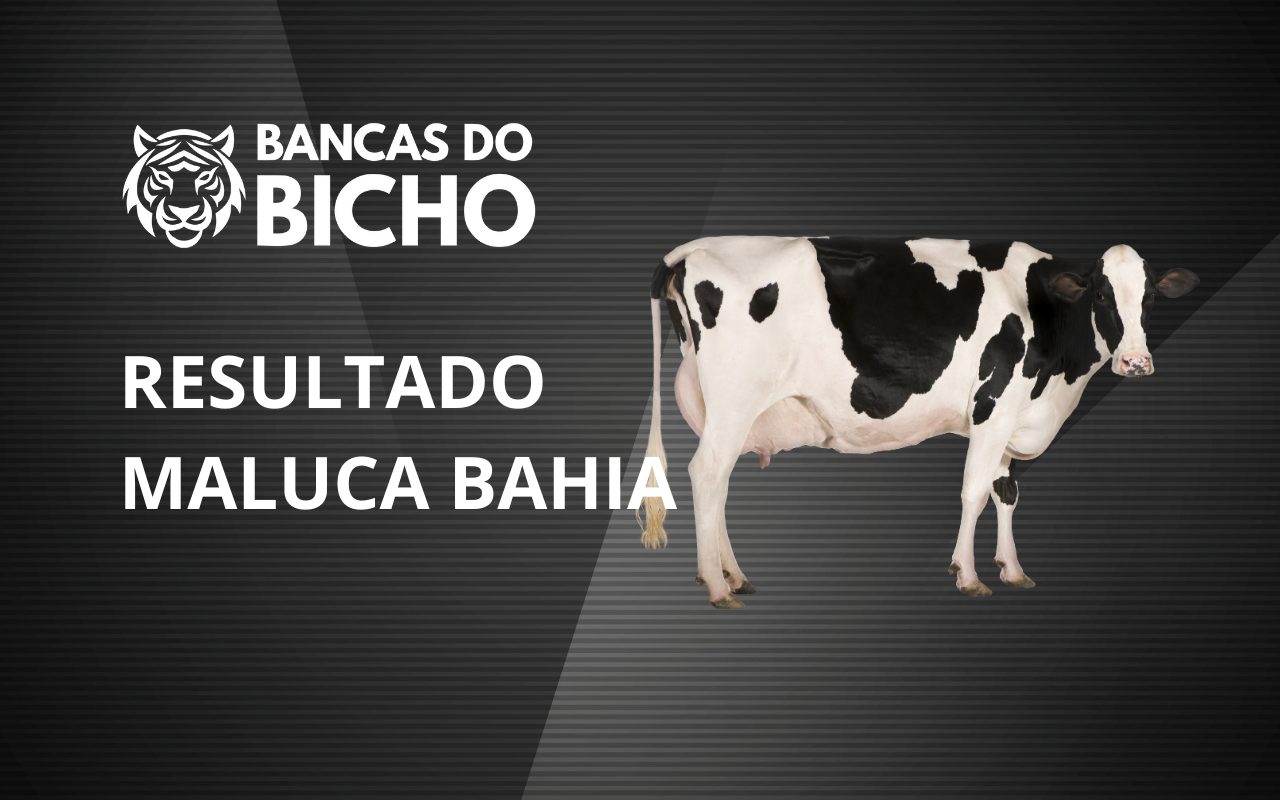 Resultado Jogo do Bicho da Maluca Bahia 15h hoje, 04/11/2025
