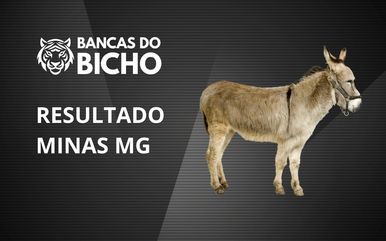 Resultado Jogo do Bicho da Minas MG 21h hoje, 29/10/2025