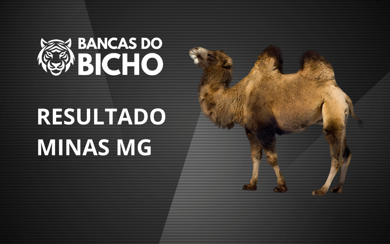 Resultado Jogo do Bicho da Minas MG 19h hoje, 03/11/2025