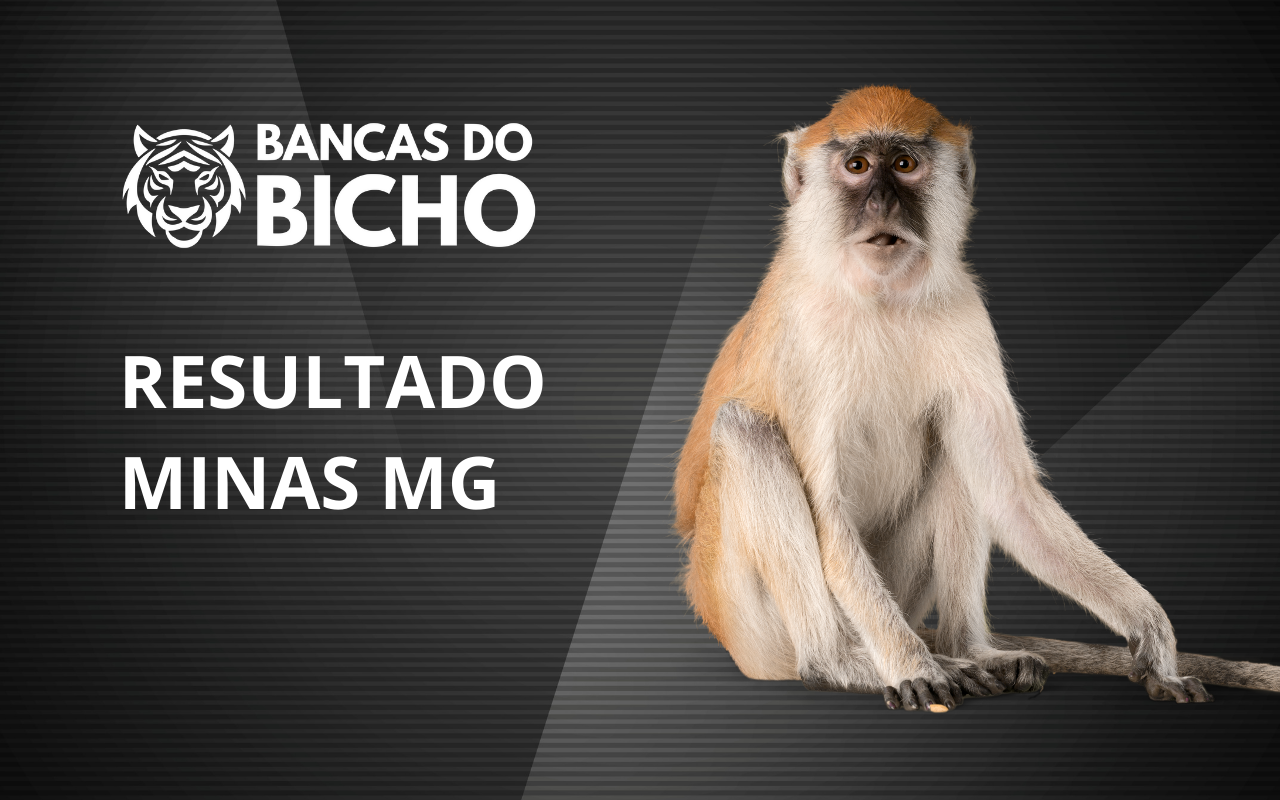 Resultado Jogo do Bicho da Minas MG 12h hoje, 04/11/2025