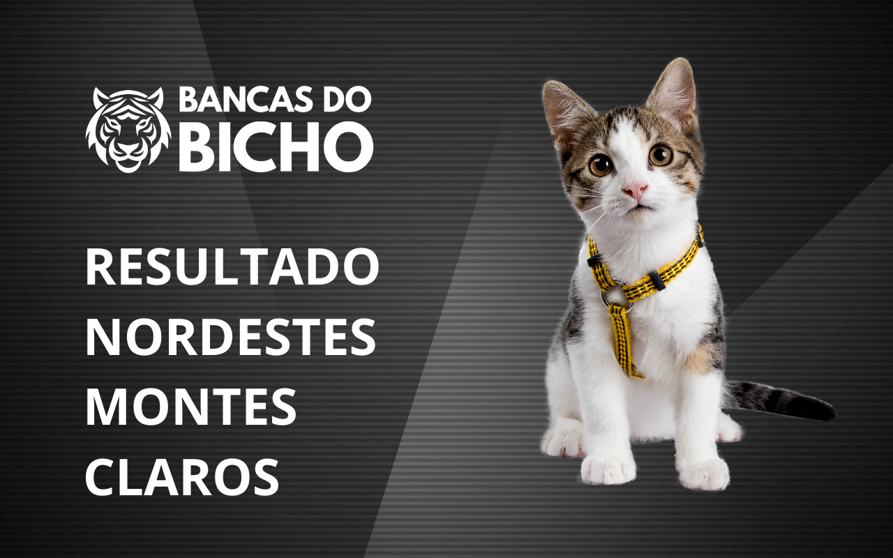 Resultado Jogo do Bicho da Nordeste Montes Claros 11h hoje, 29/10/2025